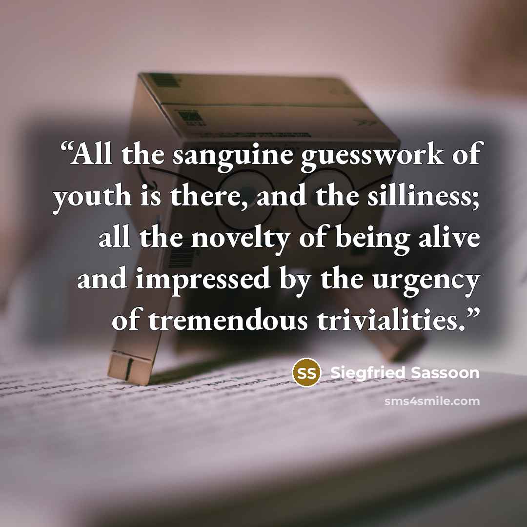 “All the sanguine guesswork of youth is there, and the silliness; all the novelty of being alive and impressed by the urgency of tremendous trivialities.” quote by Siegfried Sassoon