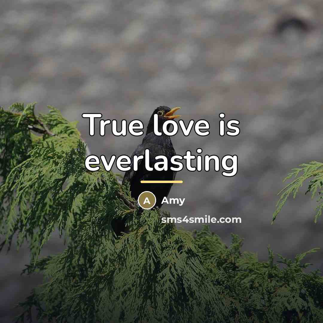 “True love is everlasting…” quote by Amy
