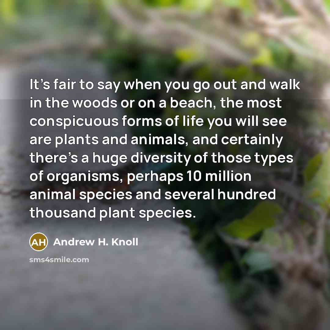 “It's fair to say when you go out and walk…” quote by Andrew H. Knoll