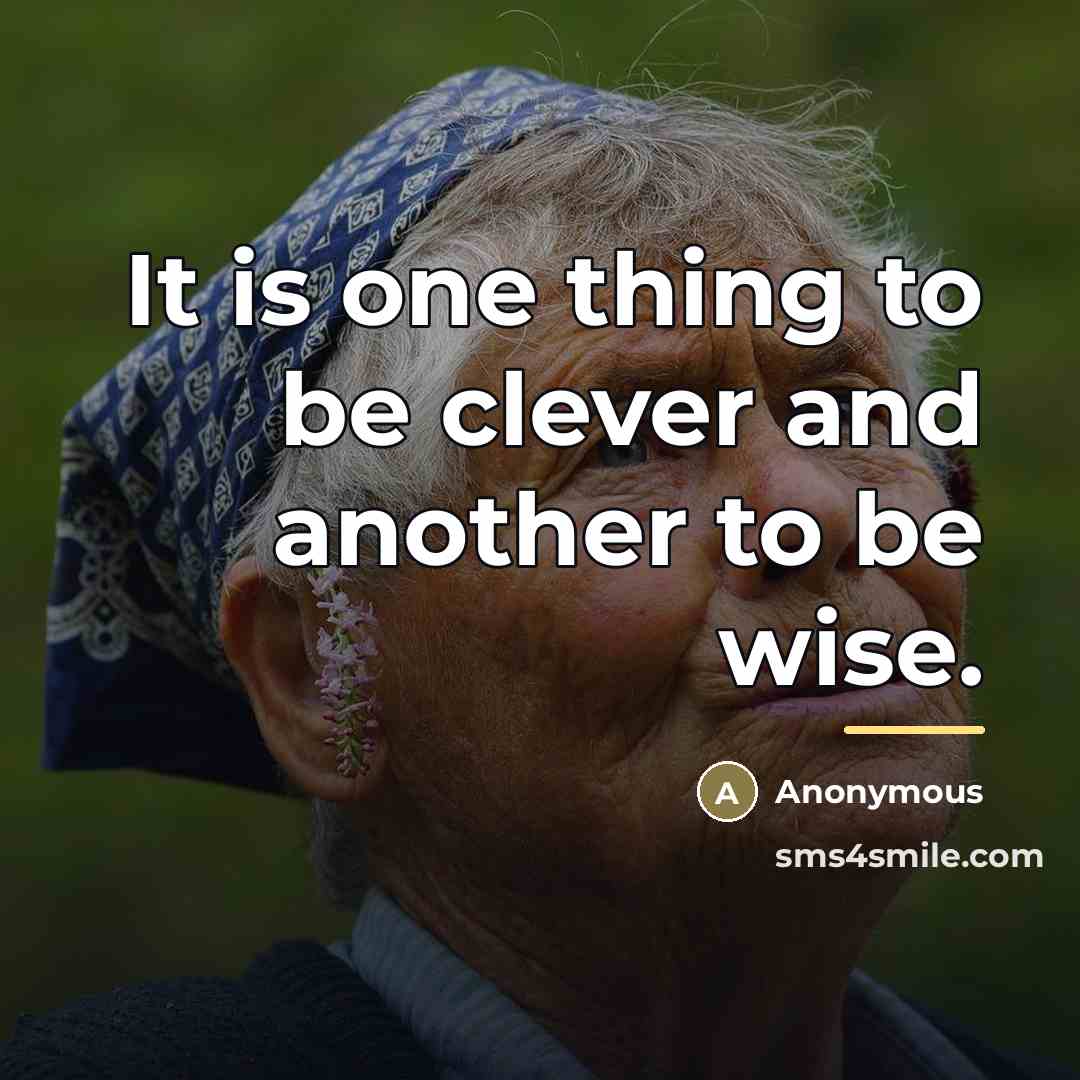 “It is one thing to be clever and another to…” quote by Anonymous