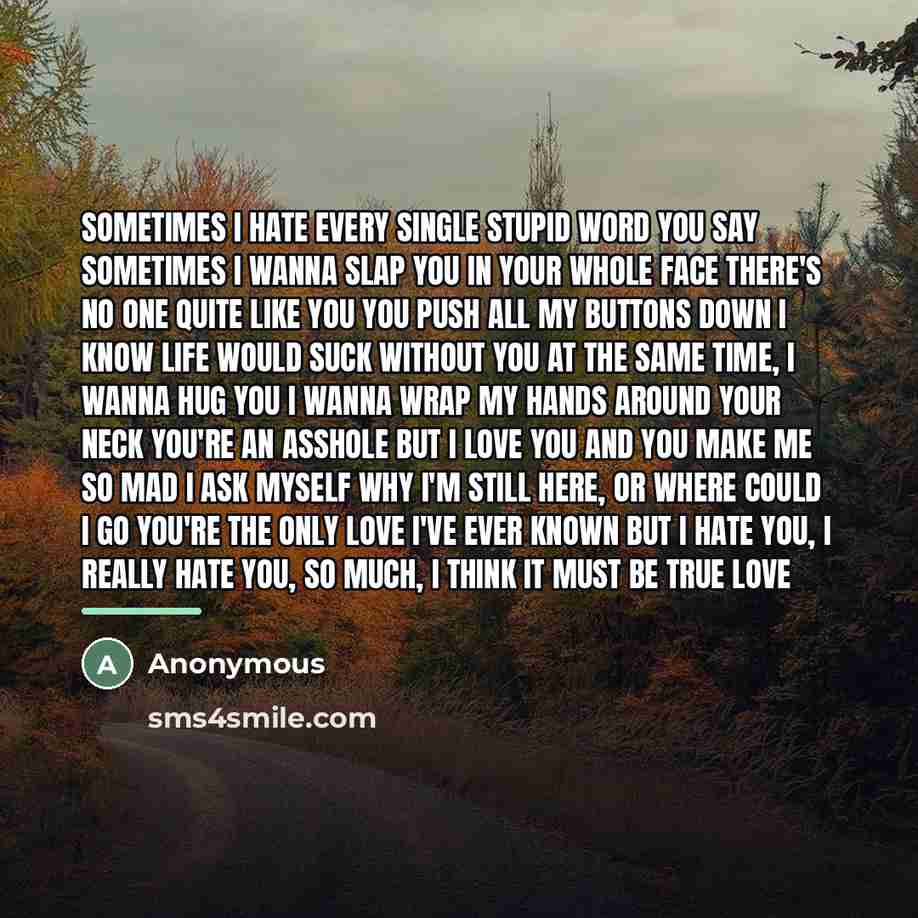 “Sometimes I hate every single stupid word you say Sometimes…” quote by Anonymous