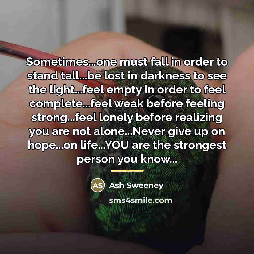 “Sometimes...one must fall in order to stand tall...be lost in…” quote by Ash Sweeney