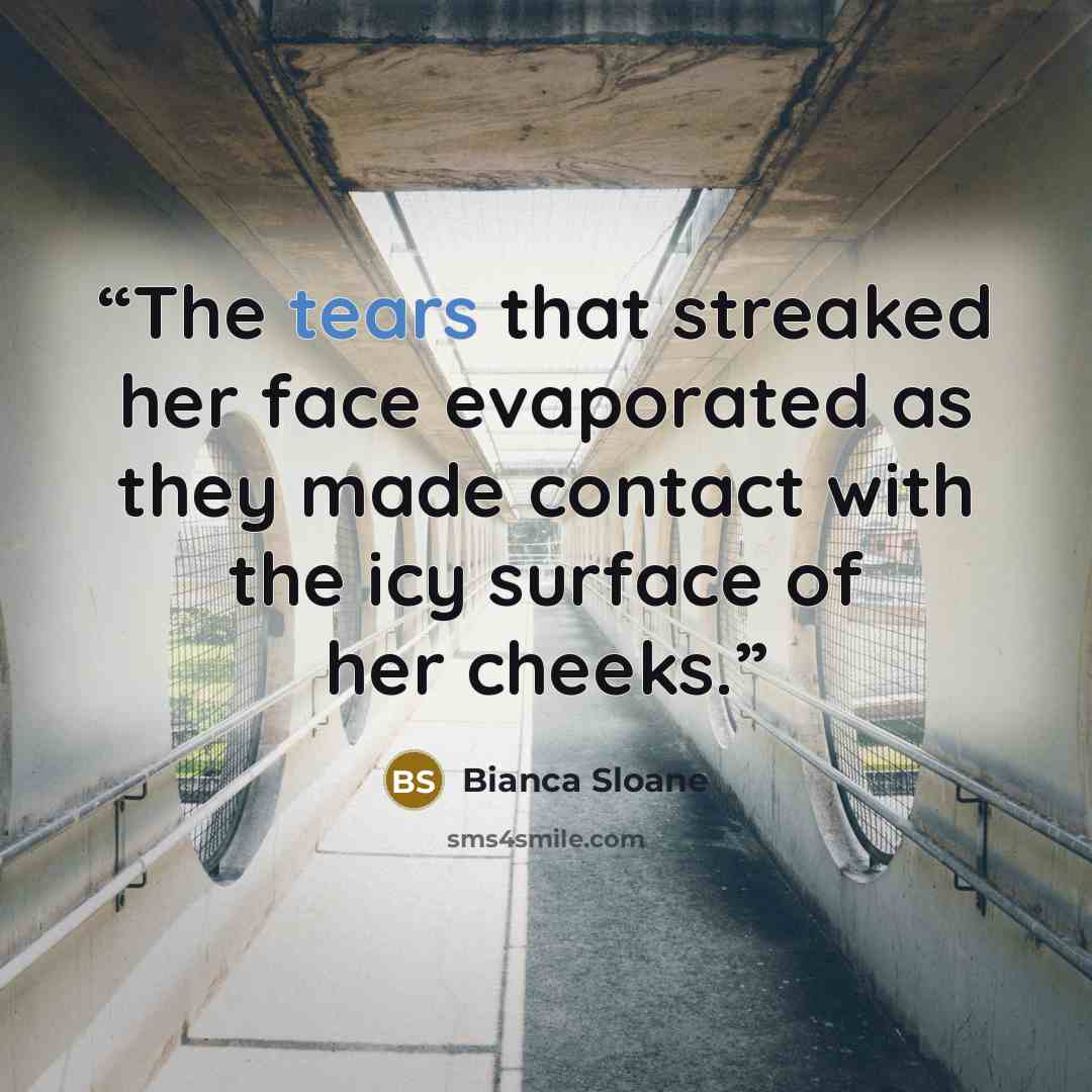 “The tears that streaked her face evaporated as they made contact with the icy surface of her cheeks.” quote by Bianca Sloane