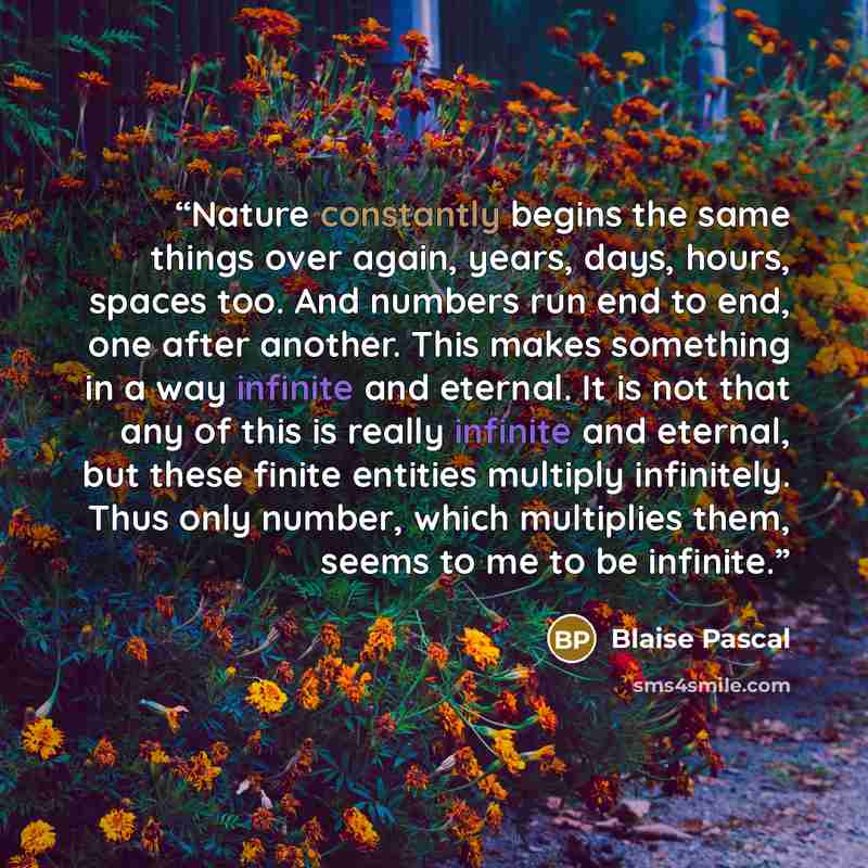 “Nature constantly begins the same things over again, years, days, hours, spaces too. And numbers run end to end, one after another. This makes something in a way infinite and eternal. It is not that any of this is really infinite and eternal, but these finite entities multiply infinitely. Thus…” quote by Blaise Pascal