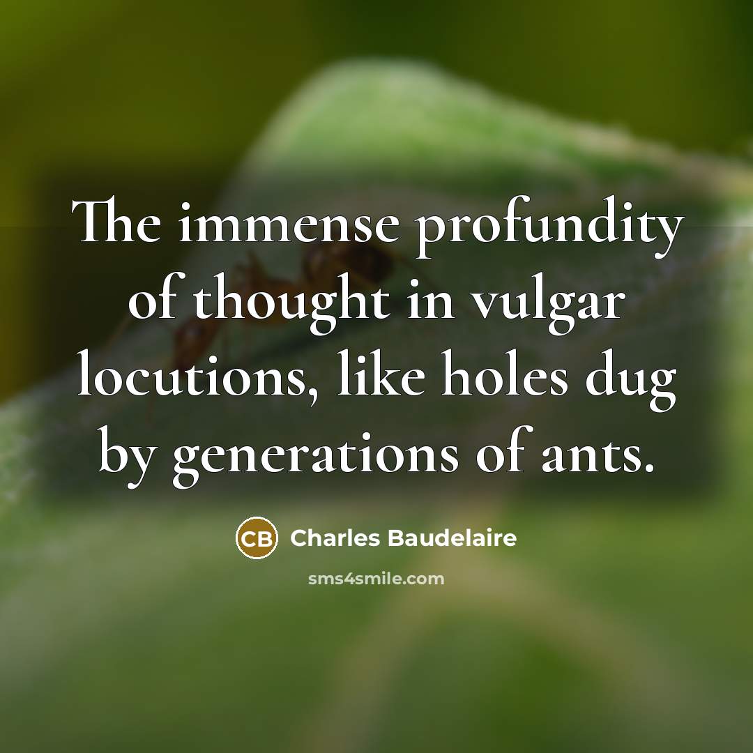 “The immense profundity of thought in vulgar locutions, like holes…” quote by Charles Baudelaire