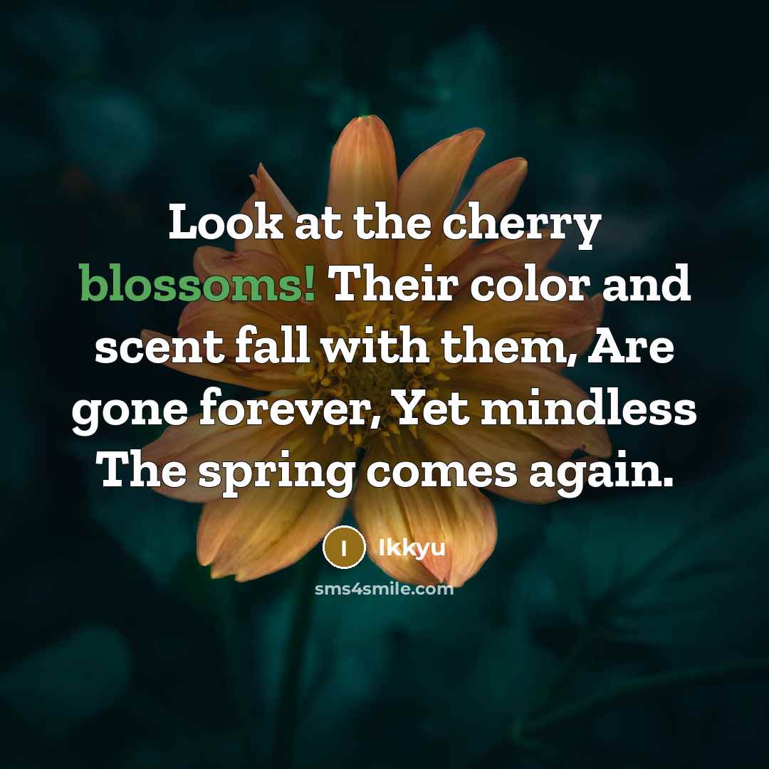 “Look at the cherry blossoms! Their color and scent fall with them, Are gone forever, Yet mindless The spring comes again.” quote by Ikkyu
