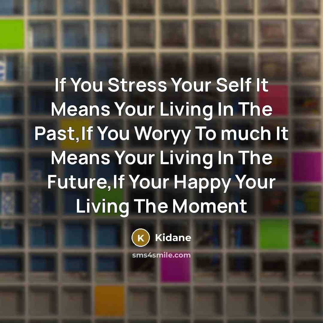 “If You Stress Your Self It Means Your Living In…” quote by Kidane