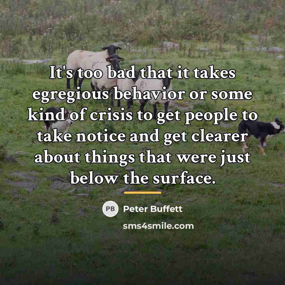 “It's too bad that it takes egregious behavior or some…” quote by Peter Buffett