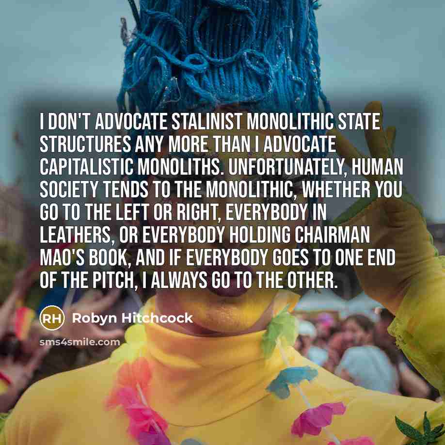 “I don't advocate Stalinist monolithic state structures any more than…” quote by Robyn Hitchcock