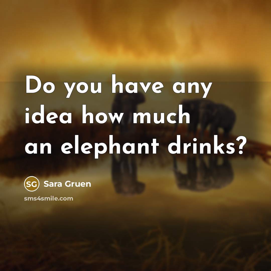 “Do you have any idea how much an elephant drinks?…” quote by Sara Gruen