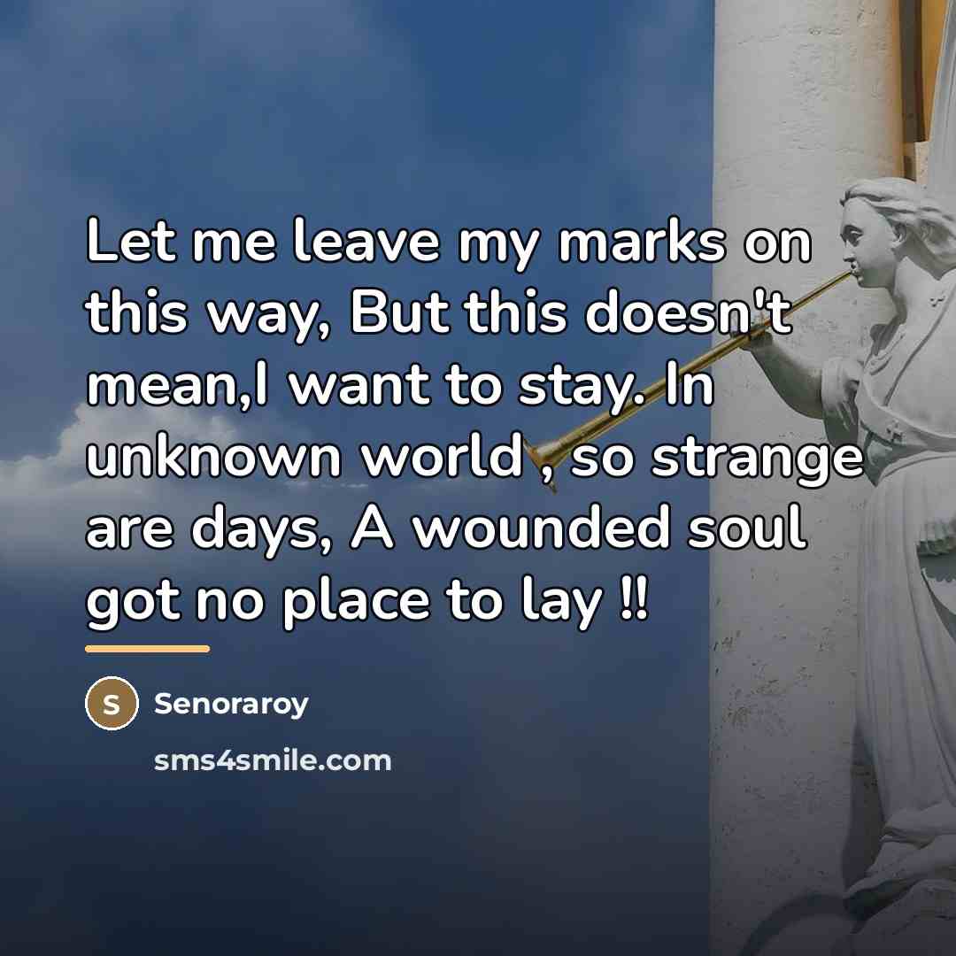 “Let me leave my marks on this way, But this…” quote by Senoraroy
