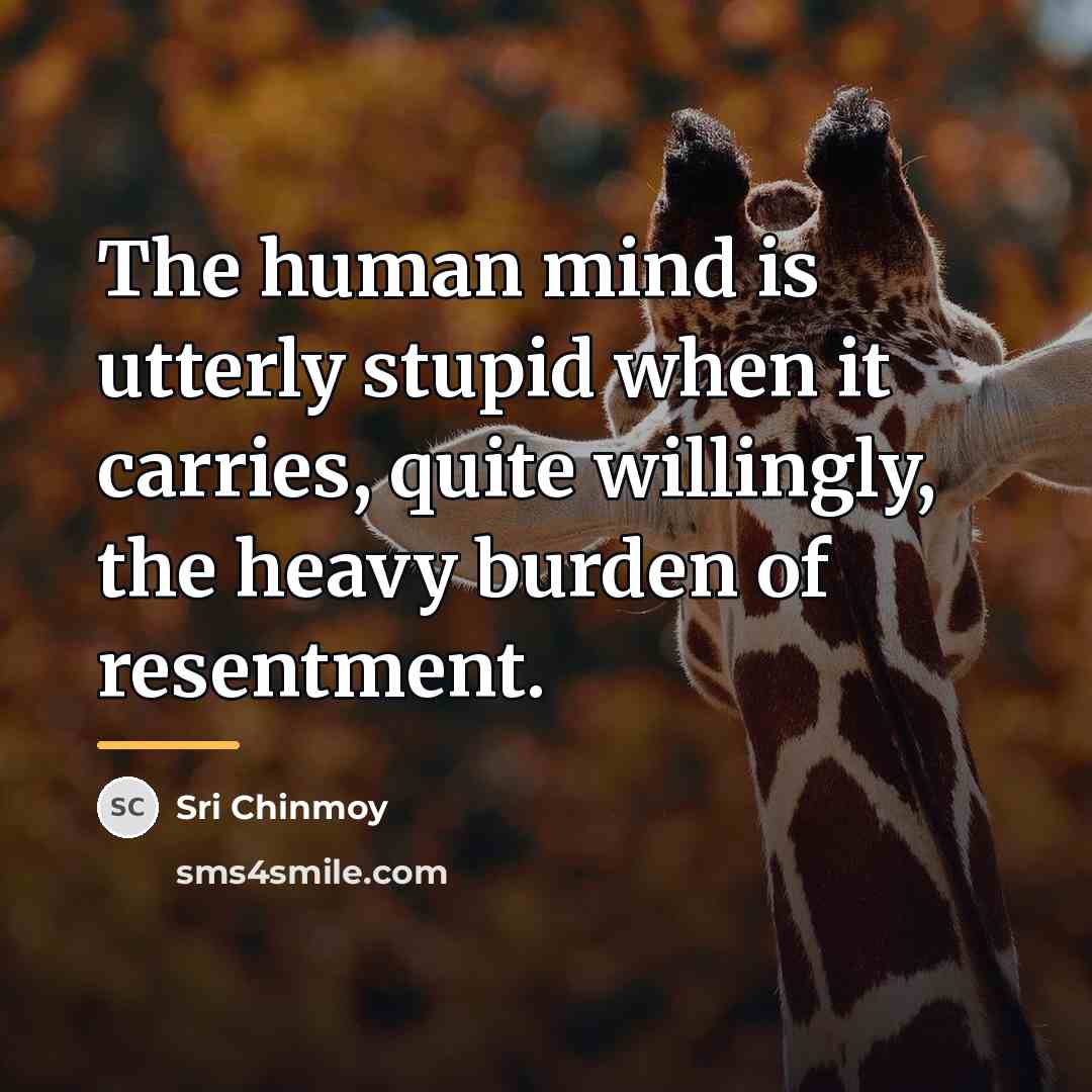 “The human mind is utterly stupid when it carries, quite…” quote by Sri Chinmoy