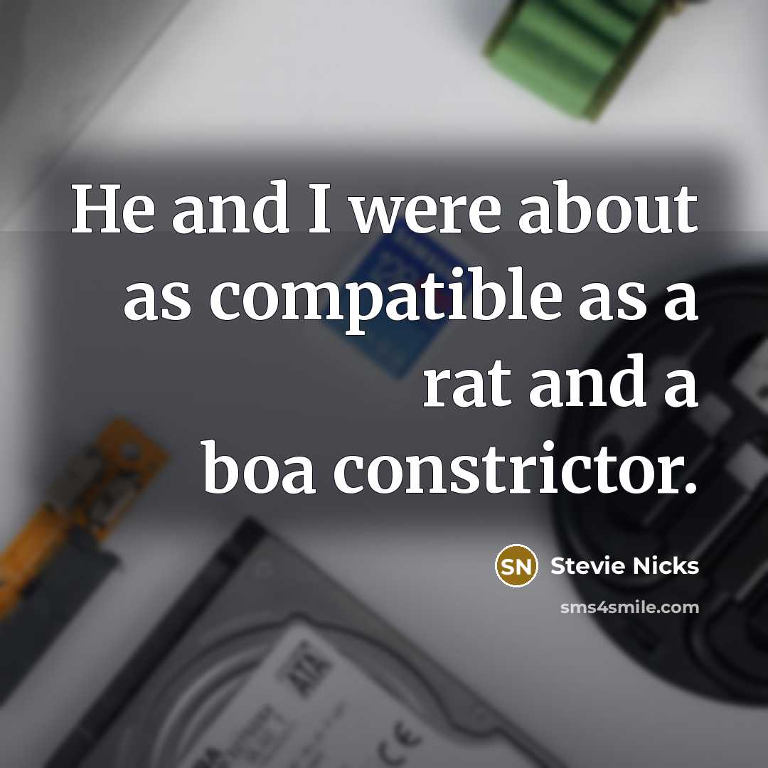 “He and I were about as compatible as a rat…” quote by Stevie Nicks