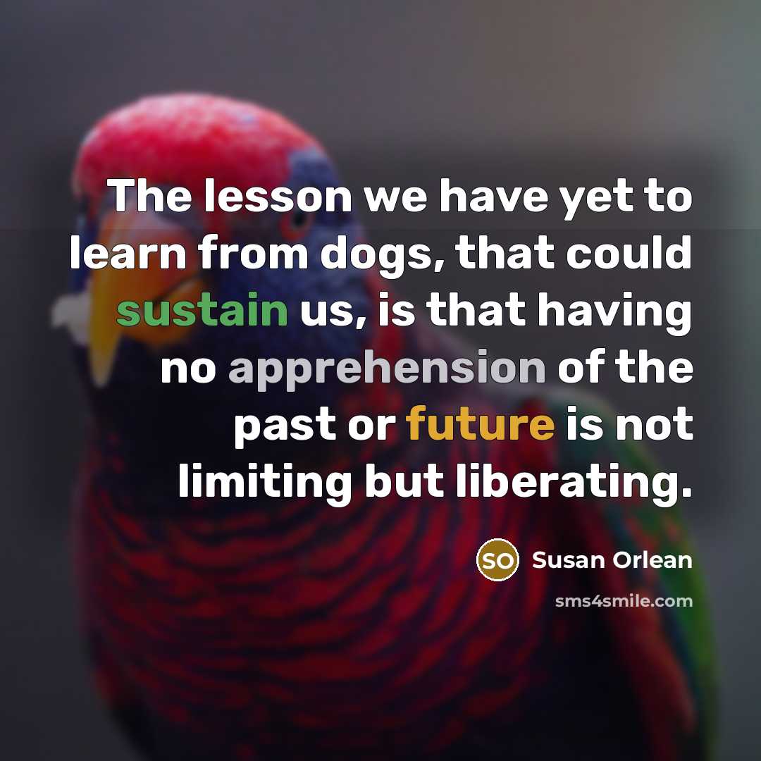 “The lesson we have yet to learn from dogs, that could sustain us, is that having no apprehension of the past or future is not limiting but liberating.” quote by Susan Orlean
