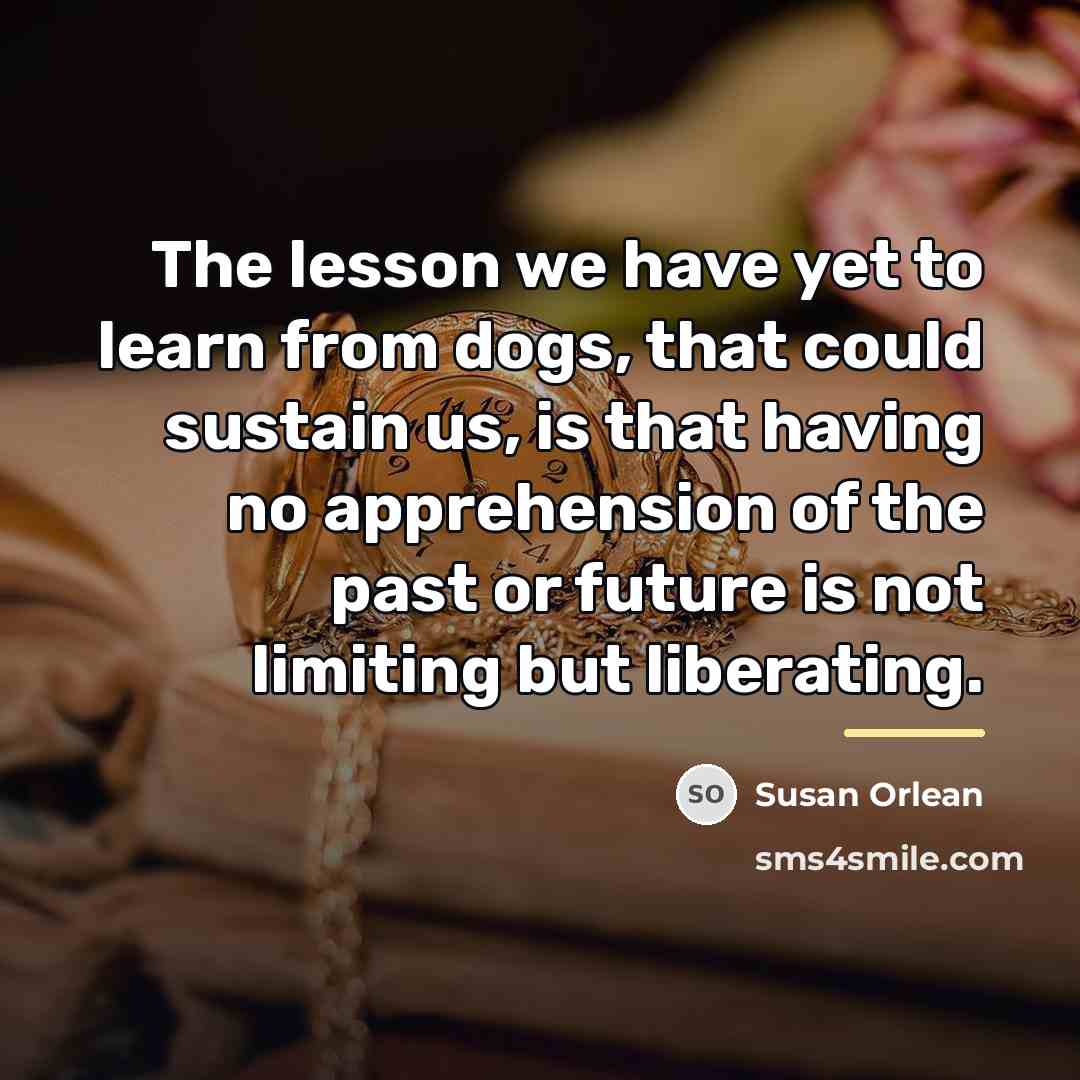 “The lesson we have yet to learn from dogs, that…” quote by Susan Orlean