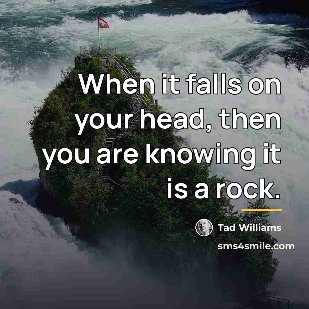 “When it falls on your head, then you are knowing…” quote by Tad Williams
