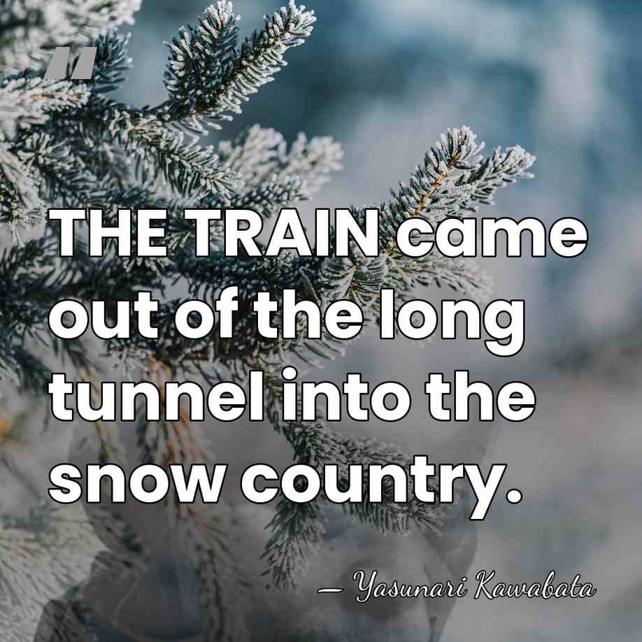 THE TRAIN came out of the long tunnel into the snow country. - Yasunari Kawabata