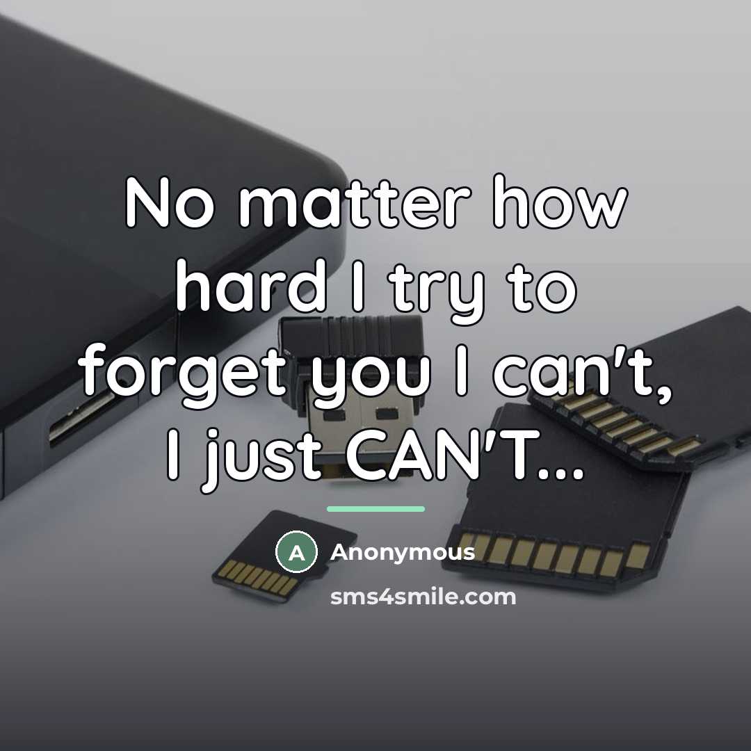 “No matter how hard I try to forget you I…” quote by Anonymous