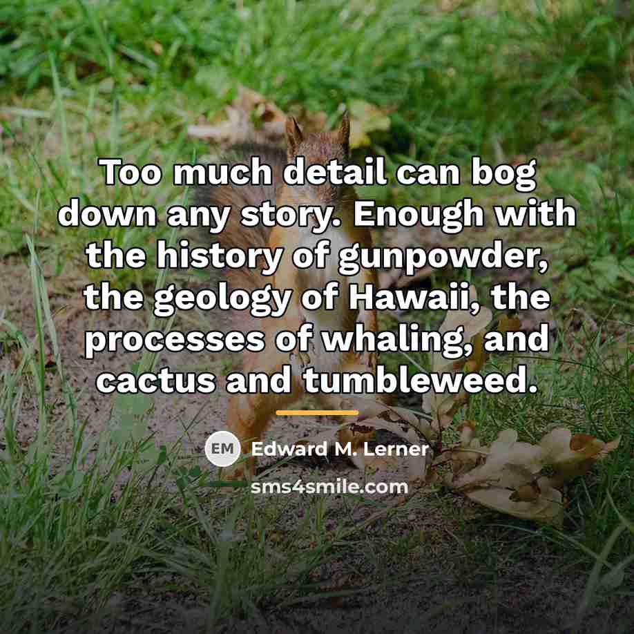 “Too much detail can bog down any story. Enough with…” quote by Edward M. Lerner