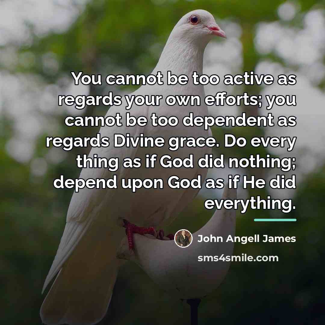 “You cannot be too active as regards your own efforts;…” quote by John Angell James