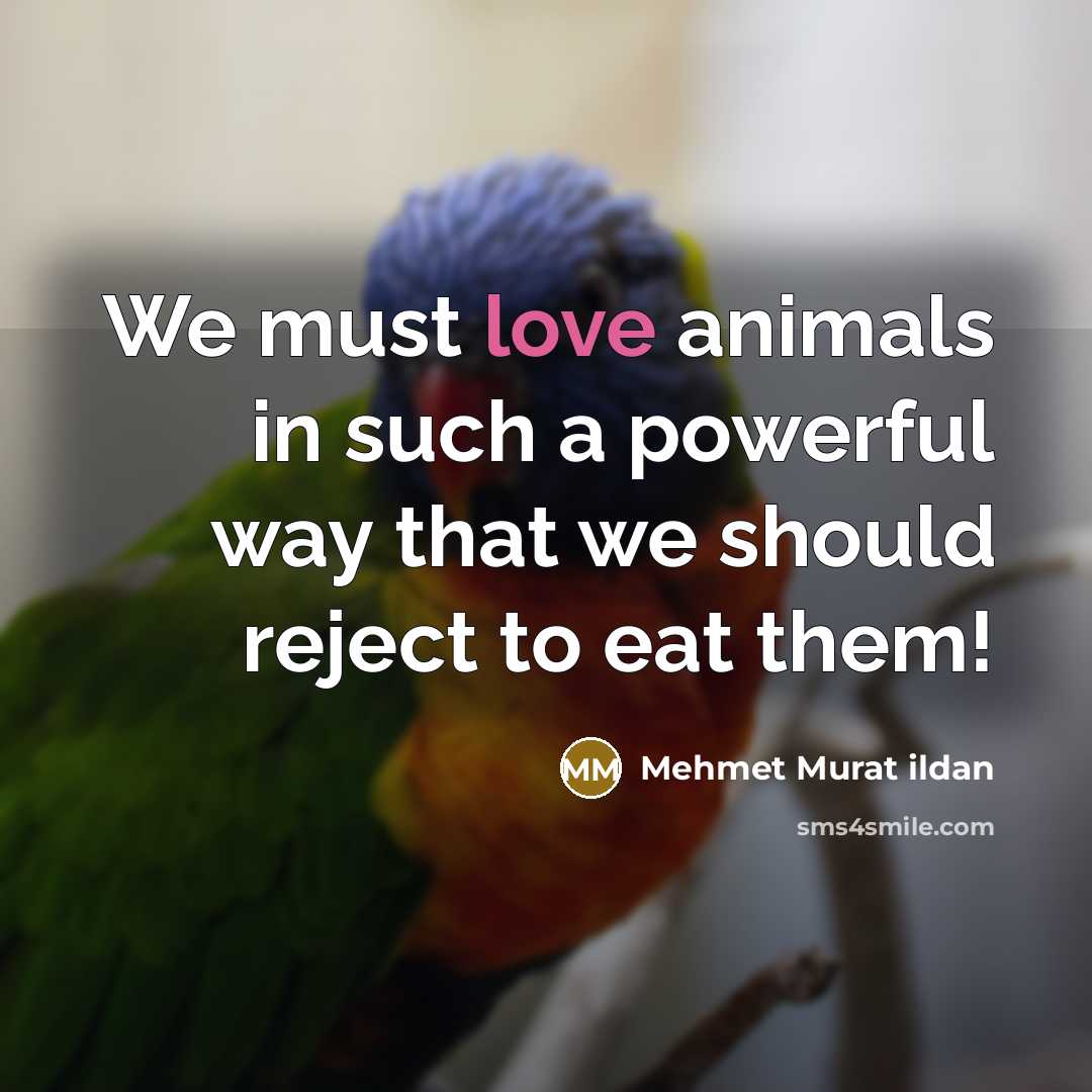 “We must love animals in such a powerful way that…” quote by Mehmet Murat Ildan