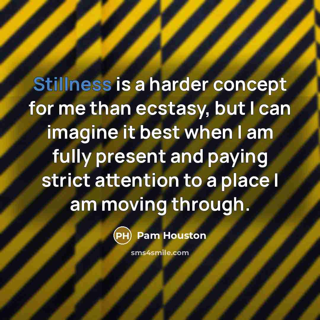 “Stillness is a harder concept for me than ecstasy, but…” quote by Pam Houston