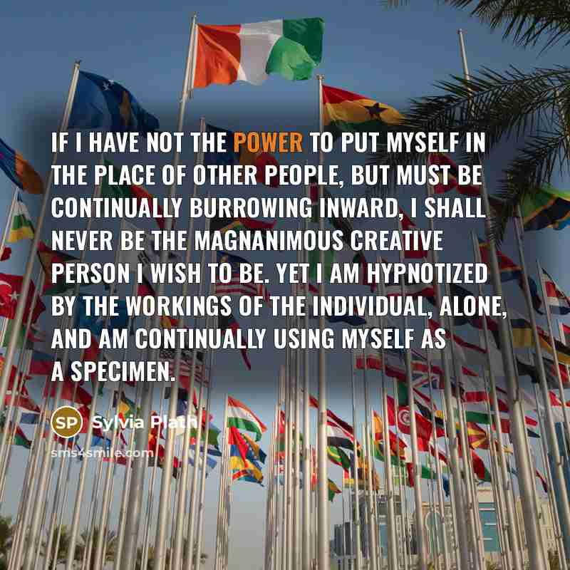 “If I have not the power to put myself in…” quote by Sylvia Plath