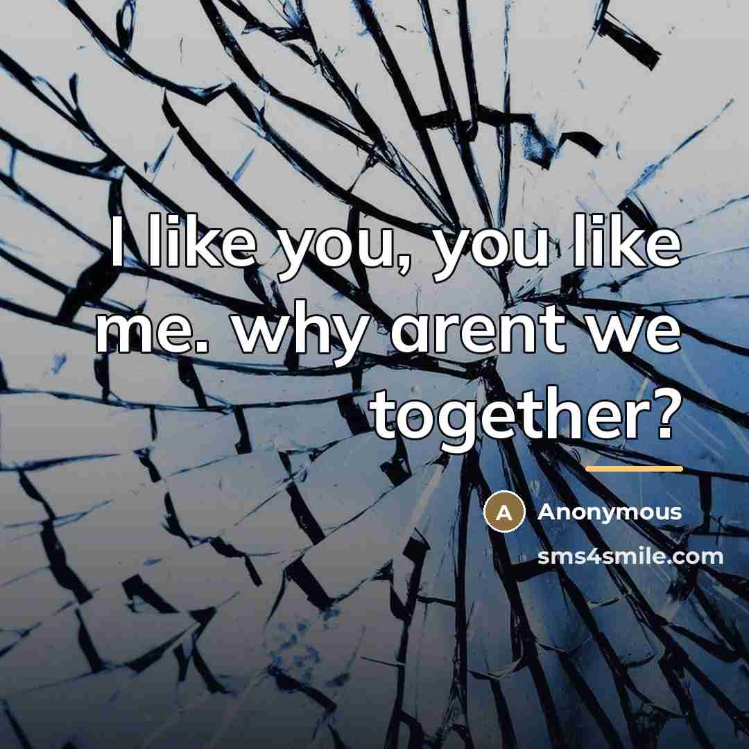 “I like you, you like me. why arent we together?…” quote by Anonymous