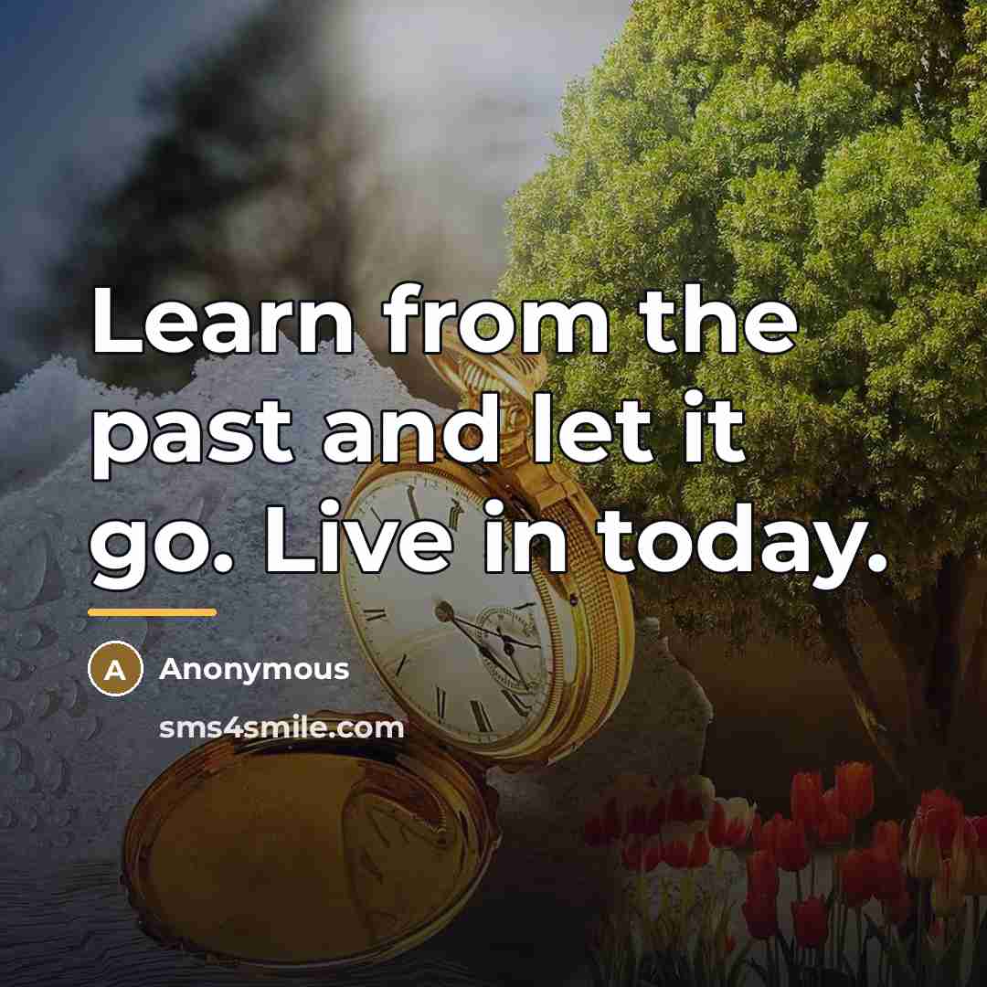 “Learn from the past and let it go. Live in…” quote by Anonymous