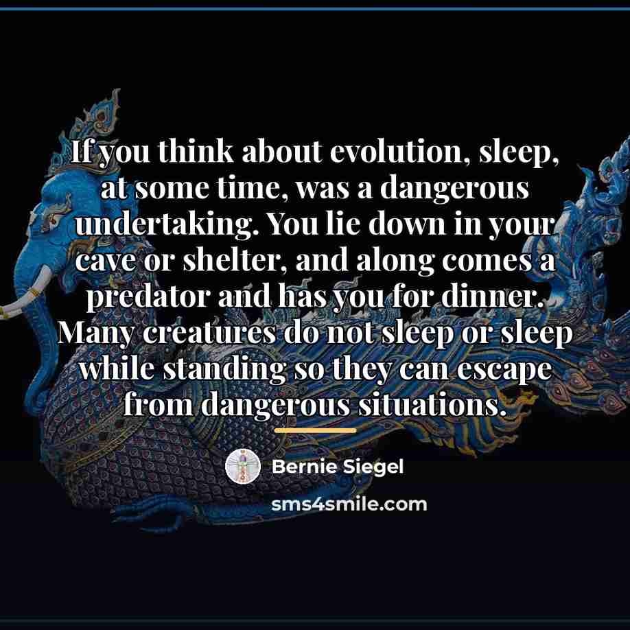 “If you think about evolution, sleep, at some time, was…” quote by Bernie Siegel