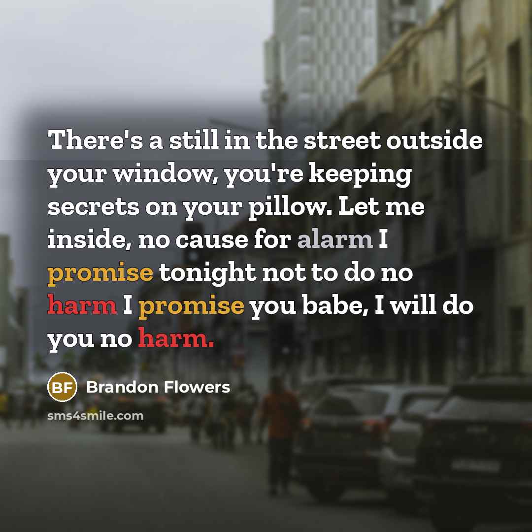 “There's a still in the street outside your window, you're…” quote by Brandon Flowers