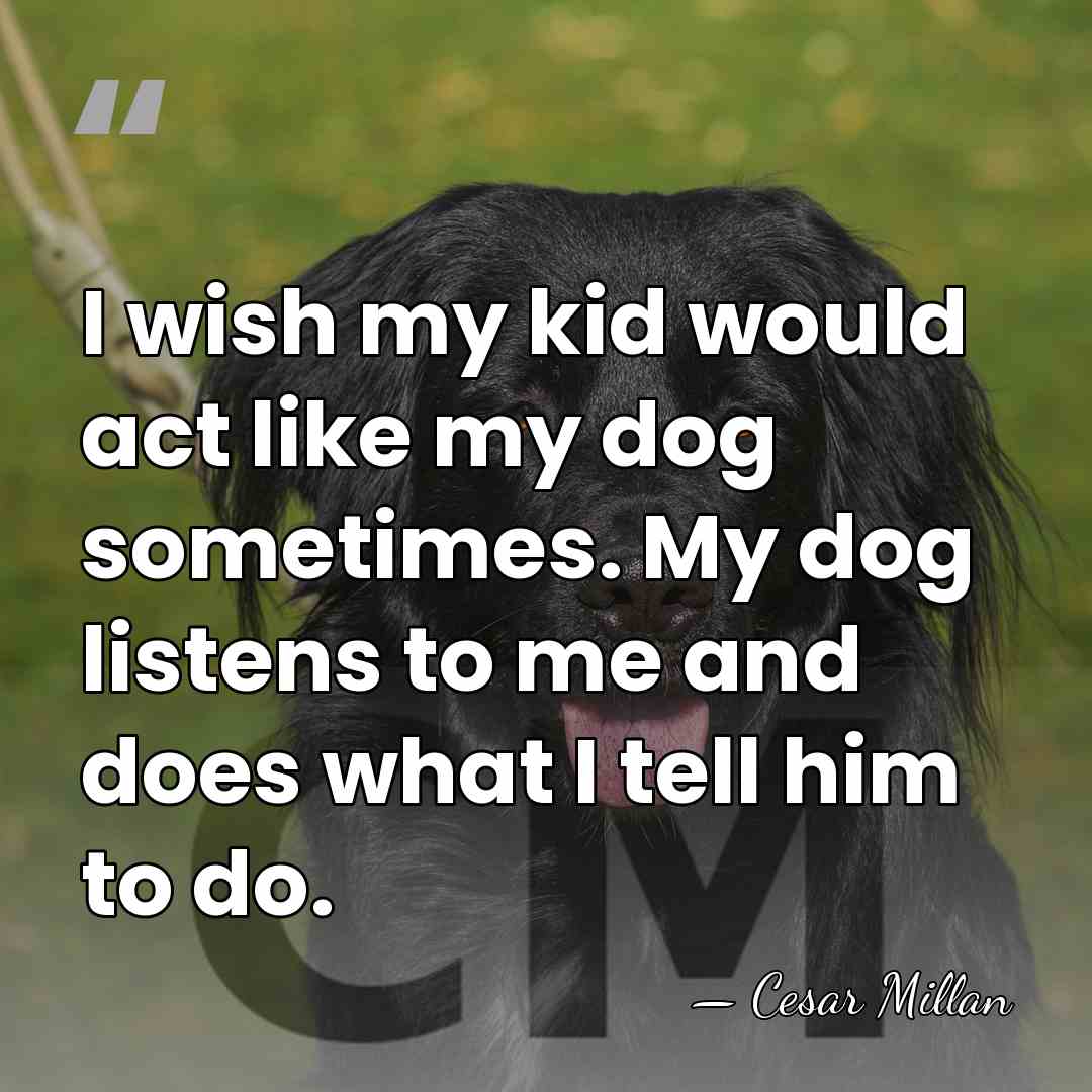 I wish my kid would act like my dog sometimes. My dog&hellip; - Cesar Millan