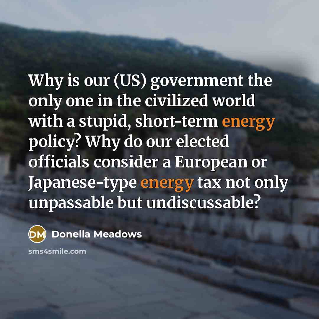 “Why is our (US) government the only one in the…” quote by Donella Meadows