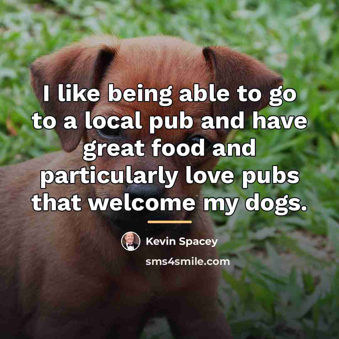 “I like being able to go to a local pub…” quote by Kevin Spacey