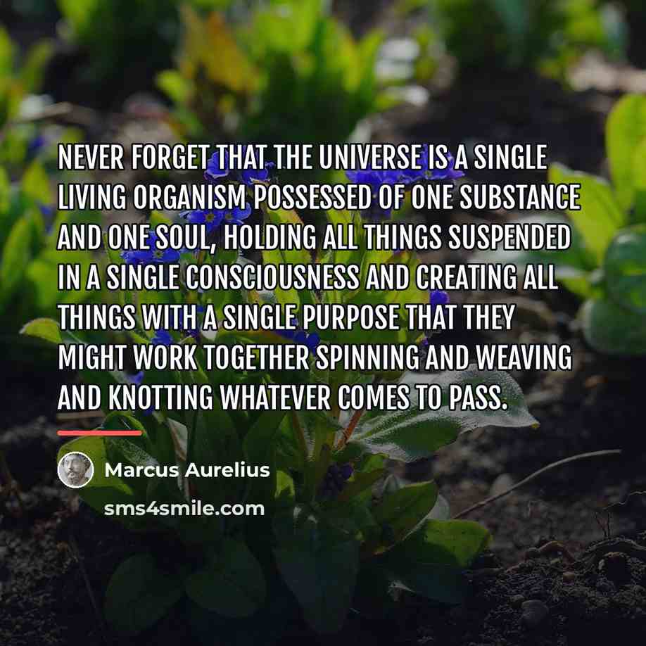 “Never forget that the universe is a single living organism…” quote by Marcus Aurelius