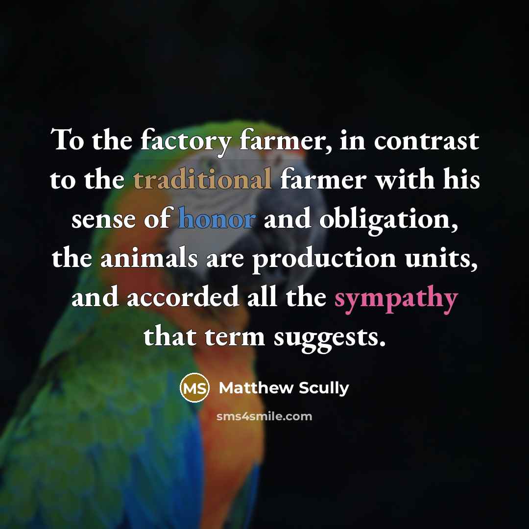 “To the factory farmer, in contrast to the traditional farmer…” quote by Matthew Scully