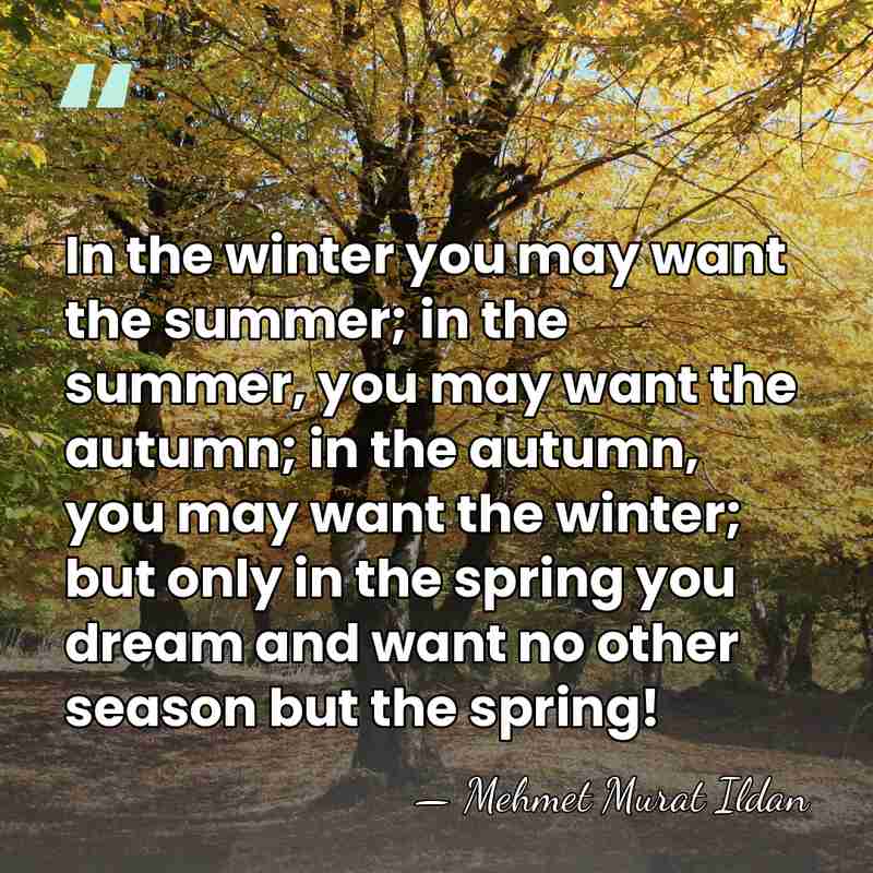 In the winter you may want the summer; in the summer, you&hellip; - Mehmet Murat Ildan