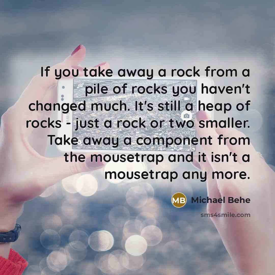 “If you take away a rock from a pile of…” quote by Michael Behe