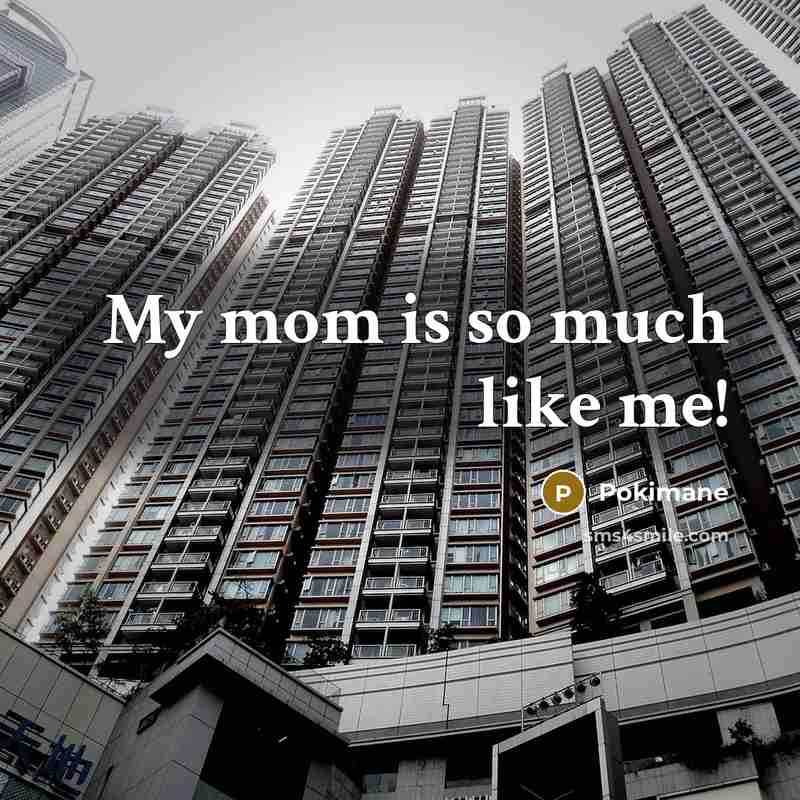 “My mom is so much like me!…” quote by Pokimane