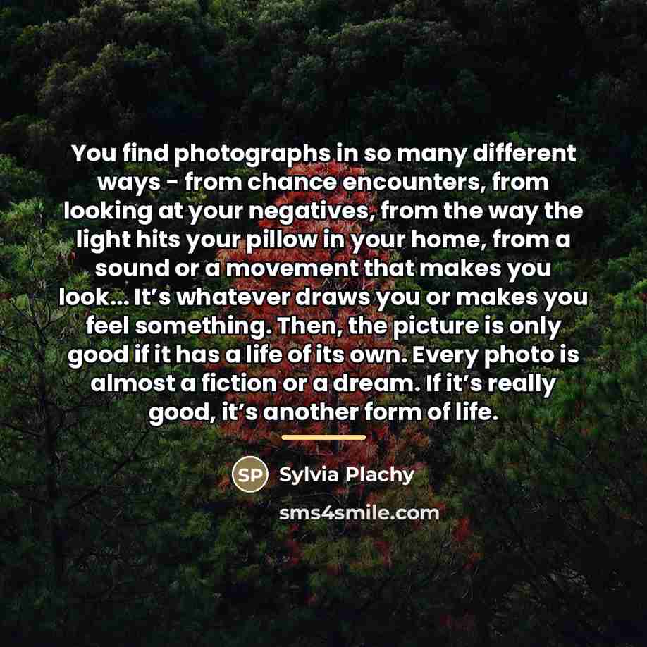 “You find photographs in so many different ways - from…” quote by Sylvia Plachy