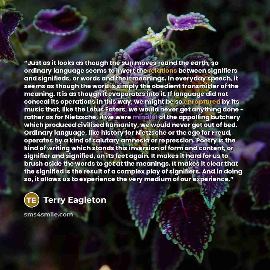 “Just as it looks as though the sun moves round the earth, so ordinary language seems to invert the relations between signifiers and signifieds, or words and their meanings. In everyday speech, it seems as though the word is simply the obedient transmitter of the meaning. It is as though it…” quote by Terry Eagleton
