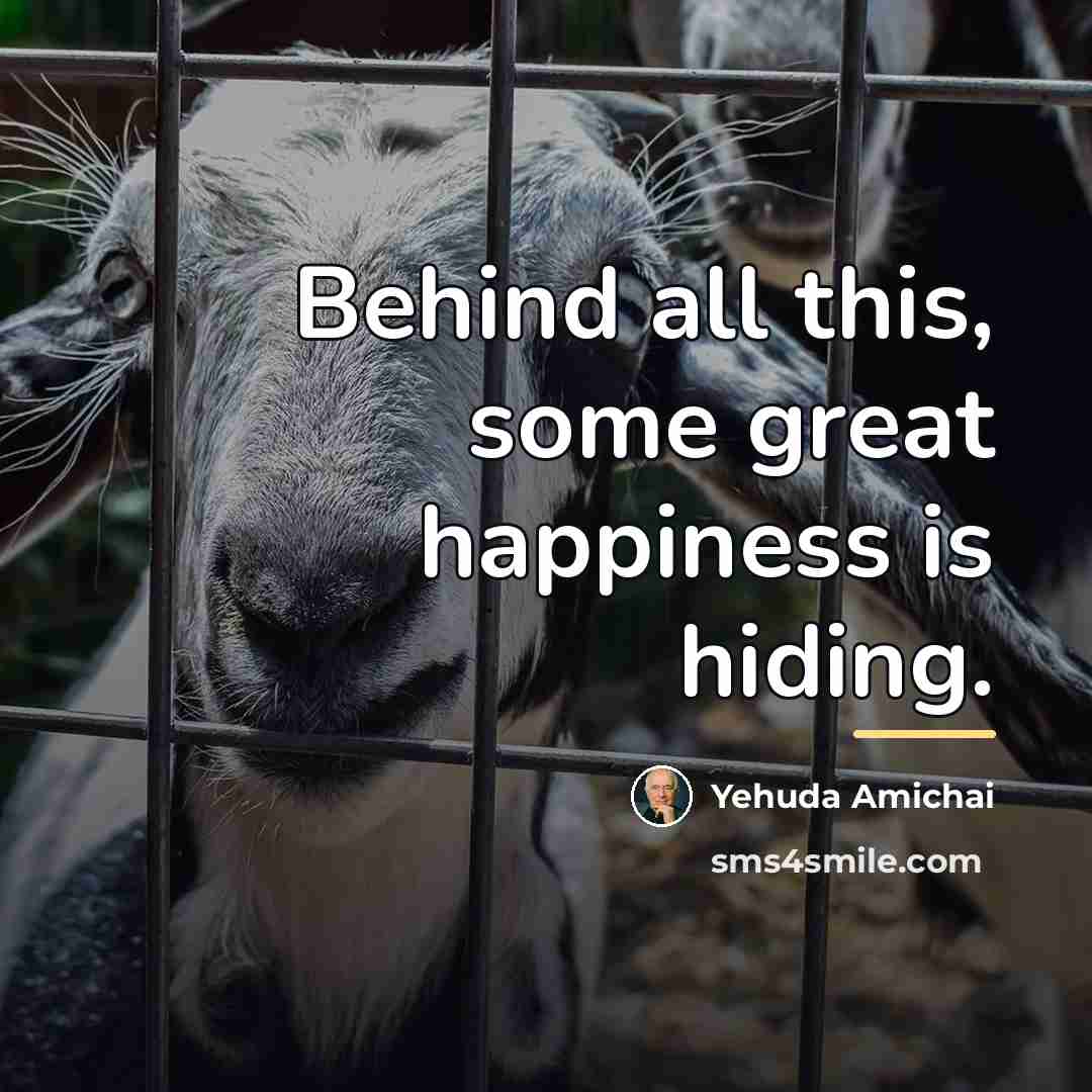 “Behind all this, some great happiness is hiding.…” quote by Yehuda Amichai