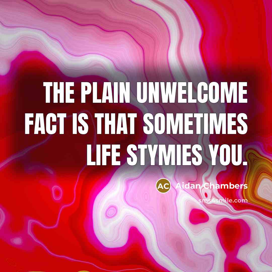 “The plain unwelcome fact is that sometimes life stymies you.…” quote by Aidan Chambers