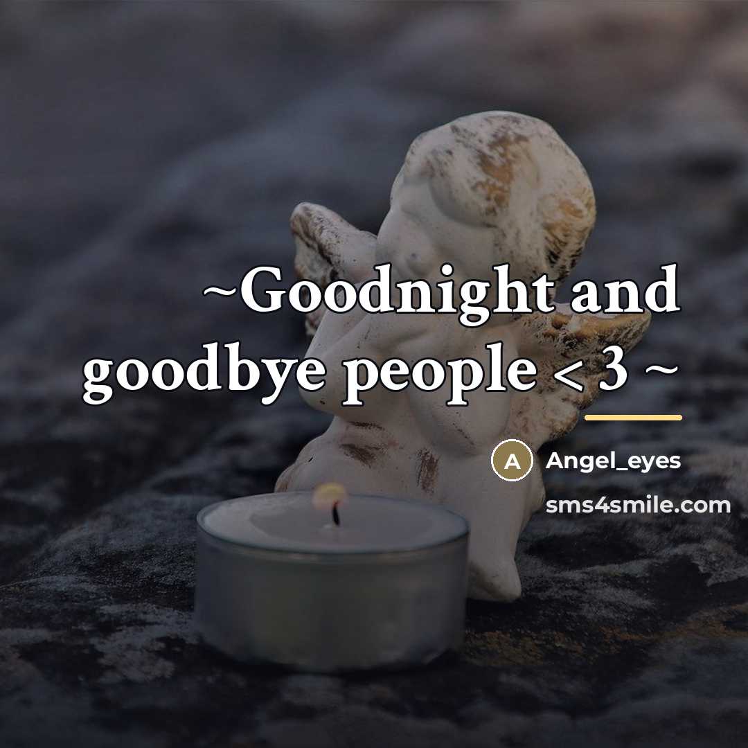 “~Goodnight and goodbye people < 3 ~…” quote by Angel_eyes