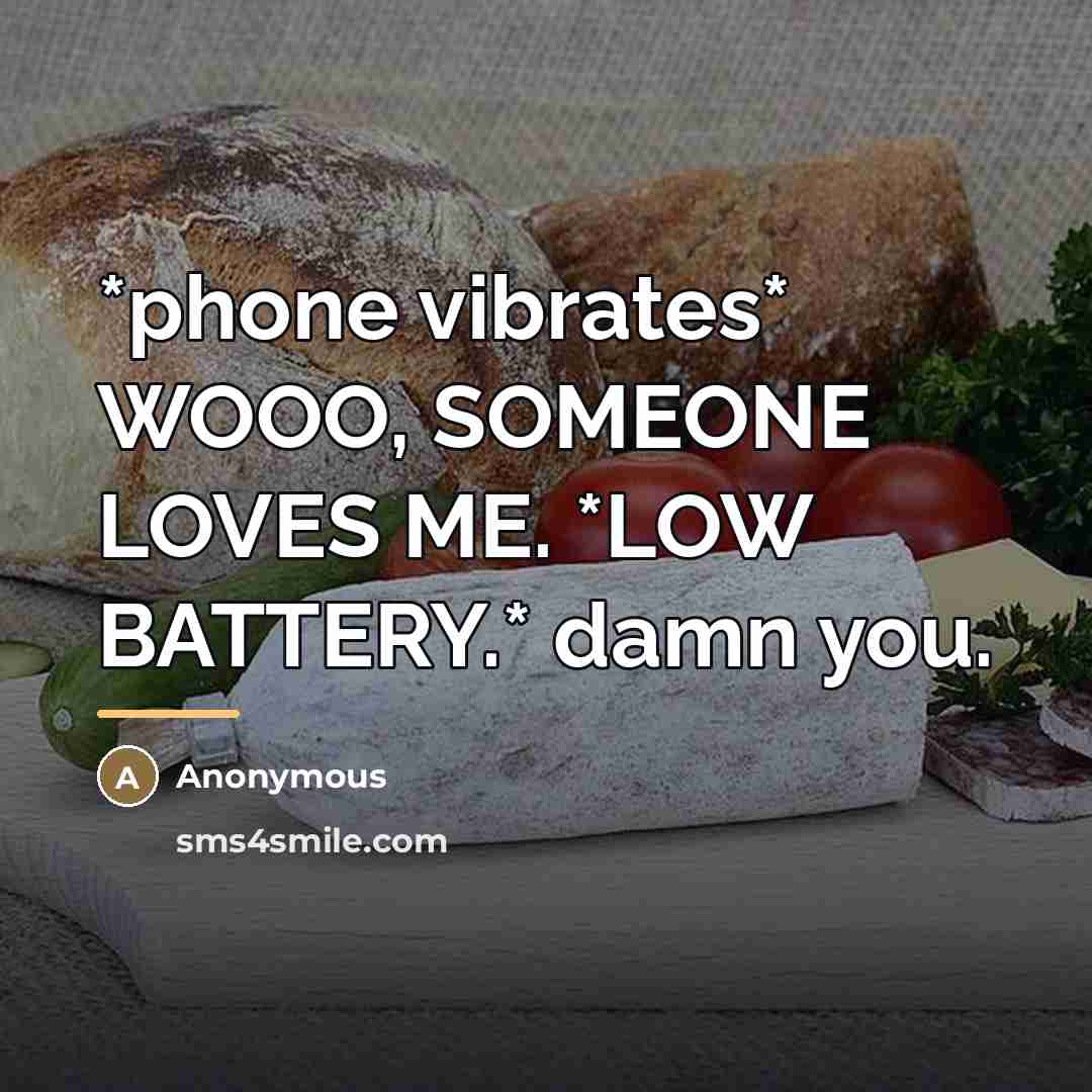 “*phone vibrates* WOOO, SOMEONE LOVES ME. *LOW BATTERY.* damn you.…” quote by Anonymous
