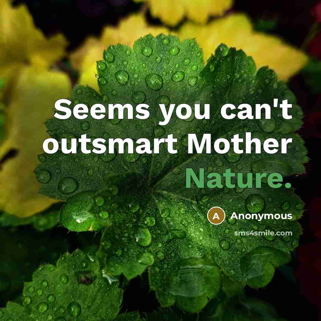 “Seems you can't outsmart Mother Nature.…” quote by Anonymous
