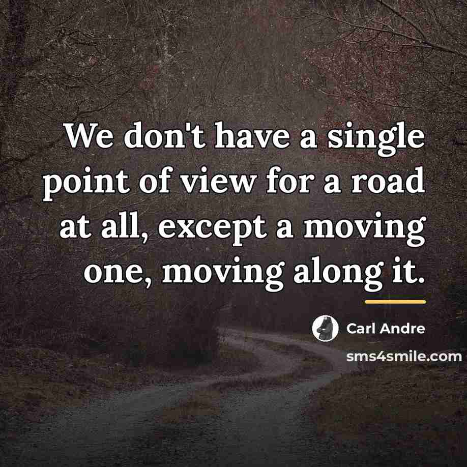 “We don't have a single point of view for a…” quote by Carl Andre