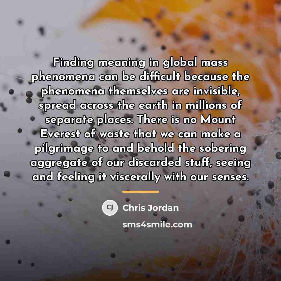 “Finding meaning in global mass phenomena can be difficult because…” quote by Chris Jordan