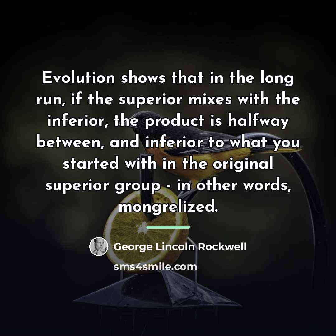 “Evolution shows that in the long run, if the superior…” quote by George Lincoln Rockwell
