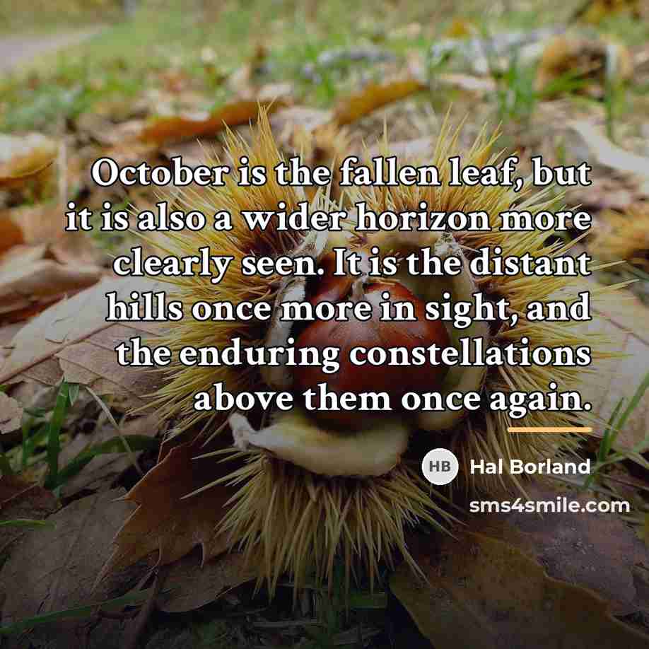 “October is the fallen leaf, but it is also a…” quote by Hal Borland